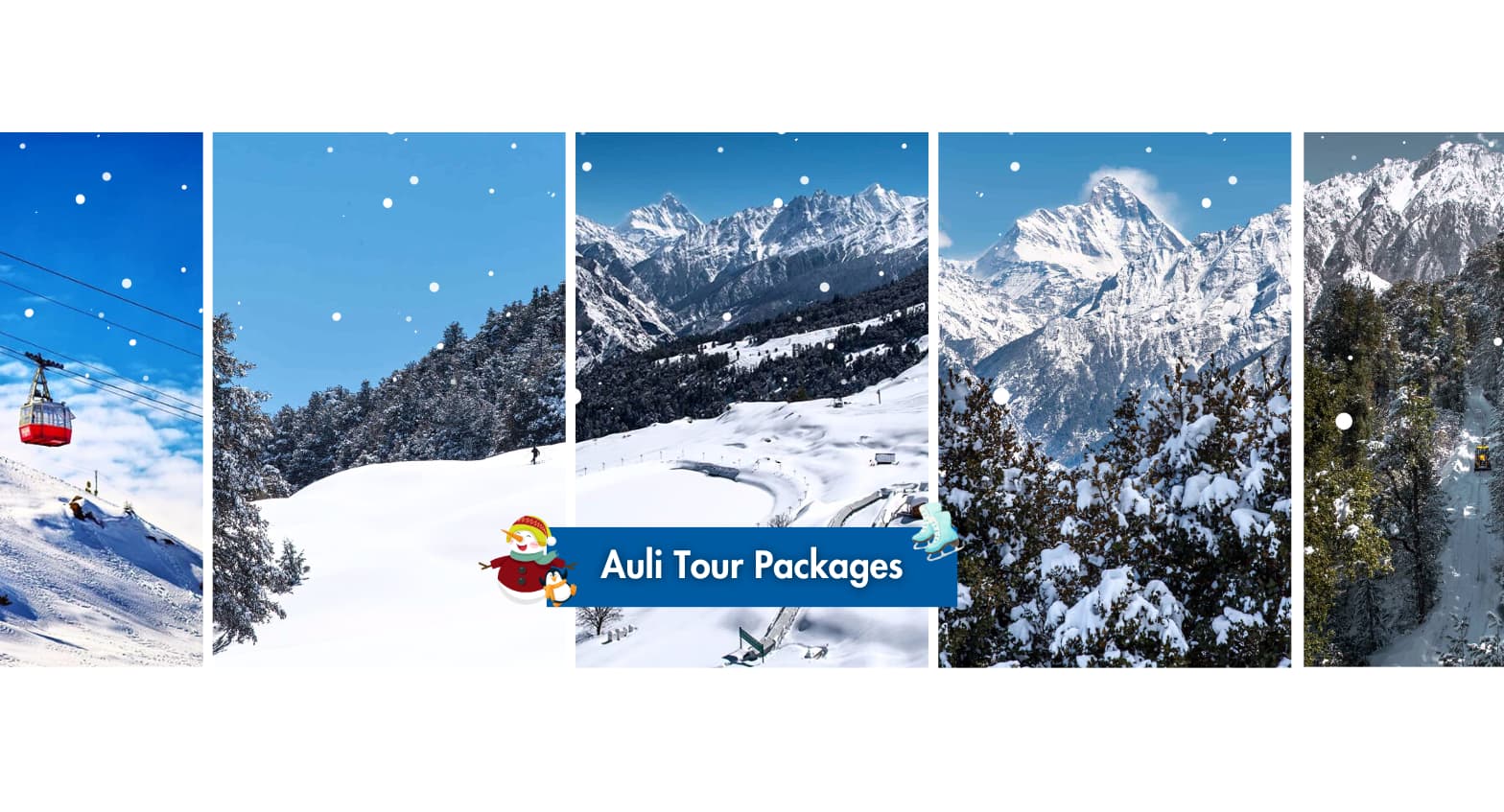 Auli