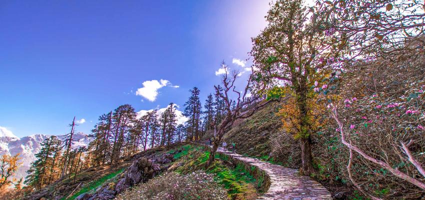 North India's 7 Best Hill Stations for Summer 2026