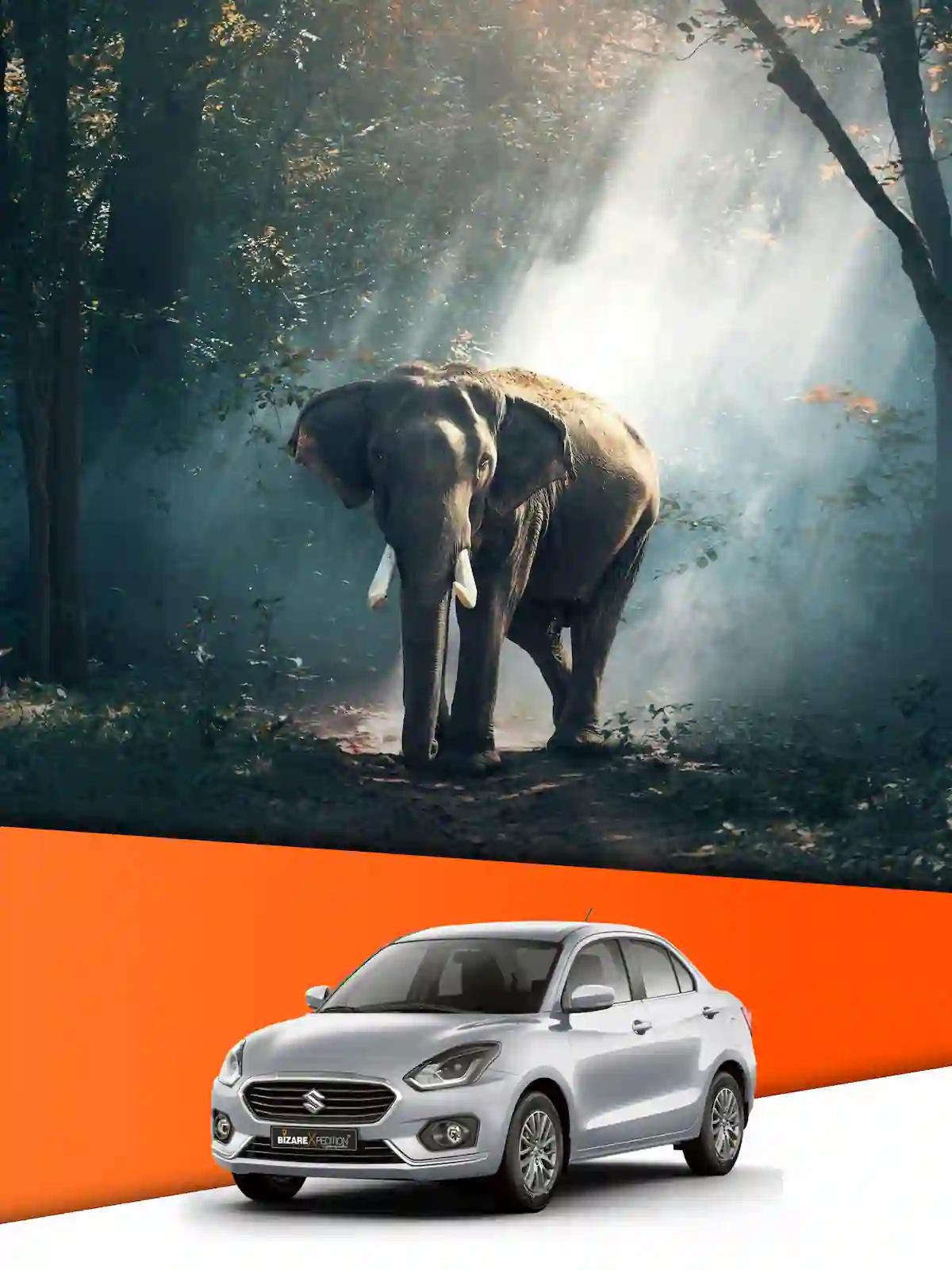 Corbett Nainital by Sedan