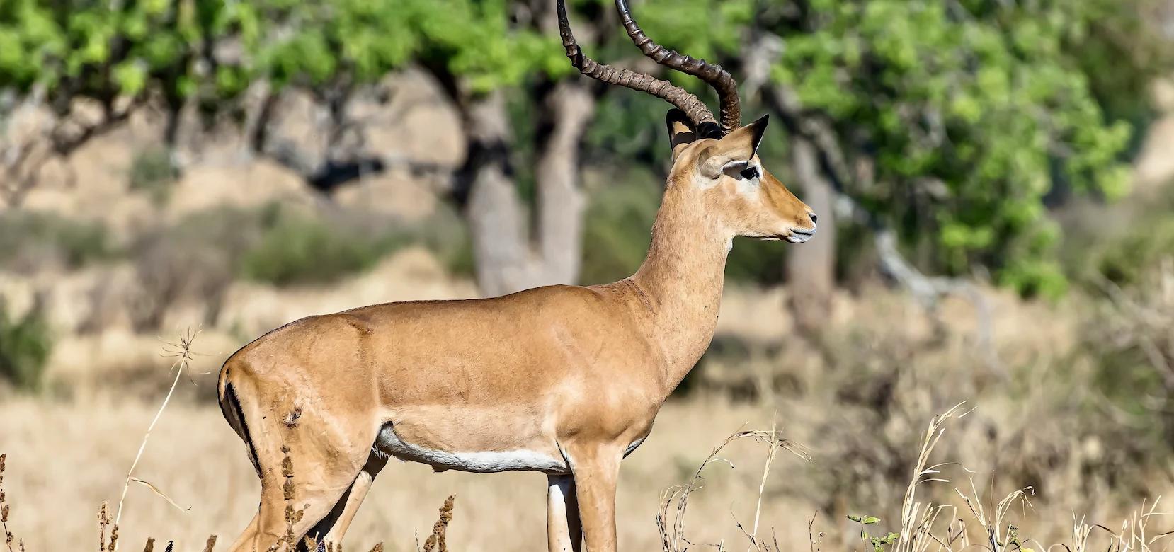 Mussoorie Jim Corbett Nainital Tour - Traveler's favorite