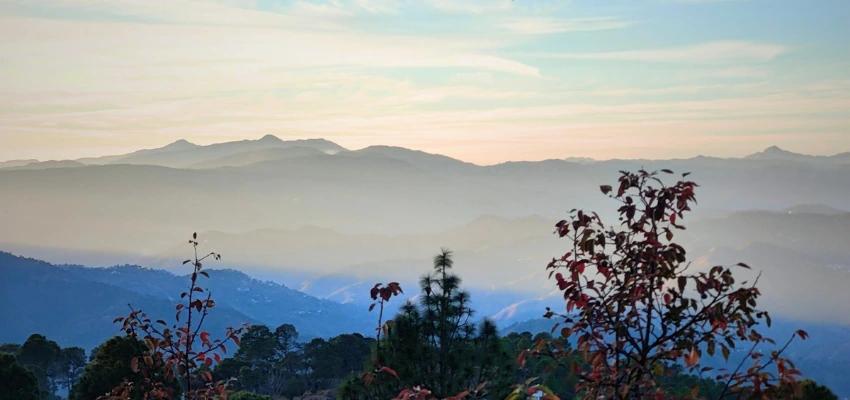 Nainital Ranikhet Almora Kausani Munsiyari Tour - Traveler's favorite