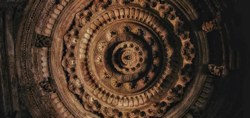 Little Rann of Kutch Wildlife Tour - Traveler's favorite