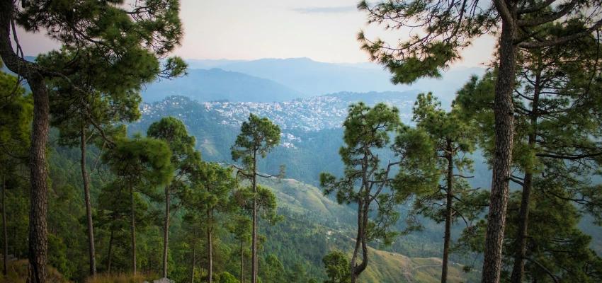 Nainital Kausani Almora Jim Corbett from Delhi Tour - Traveler's favorite