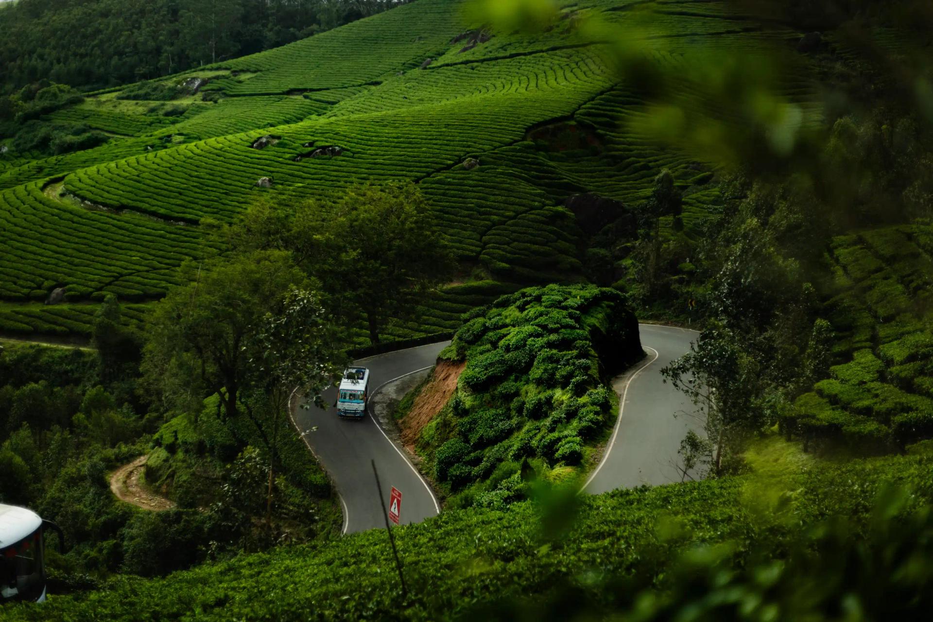 Kerala Grand Circuit Tour Package - Traveler's favorite