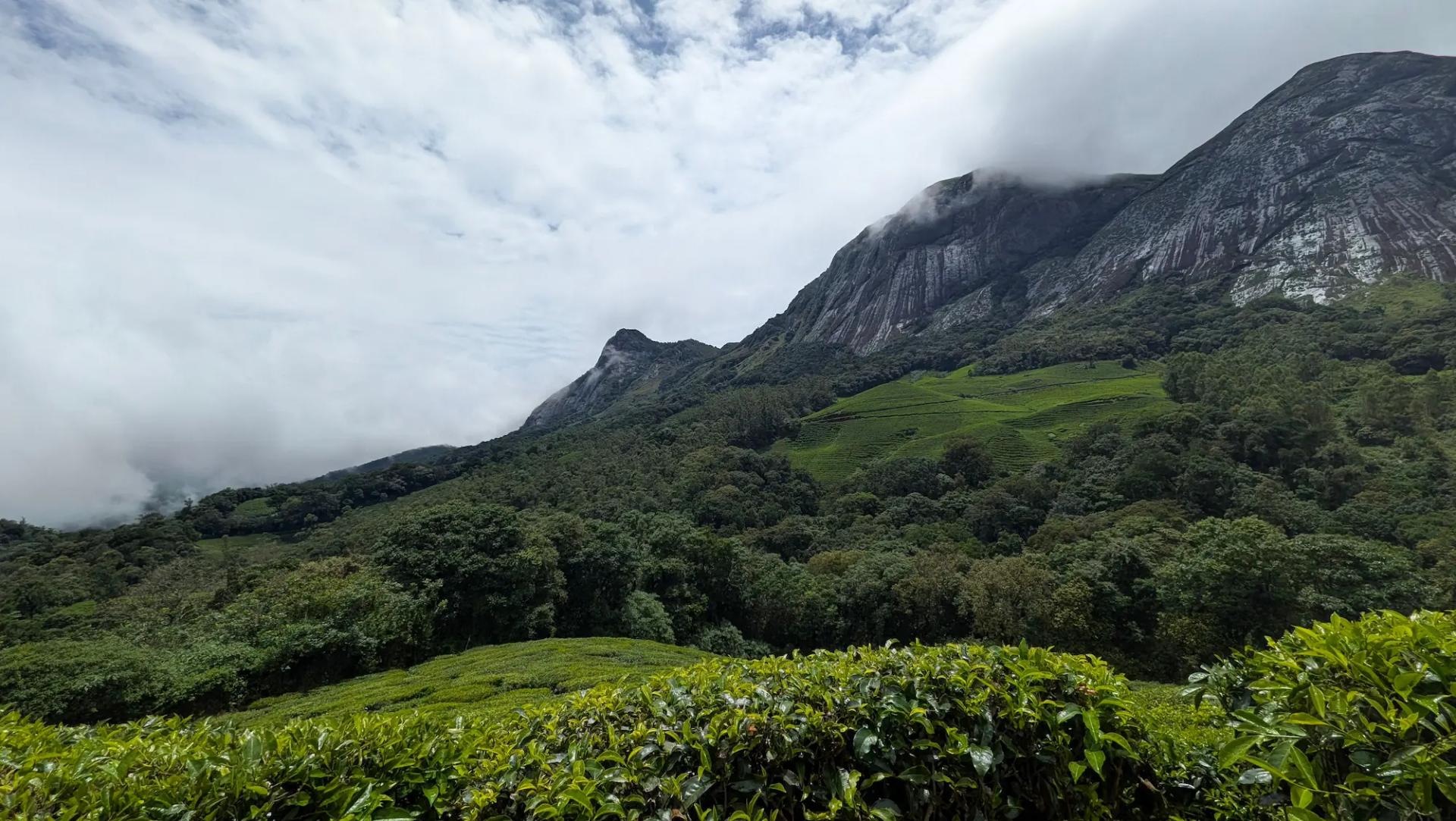 Western Ghats Biodiversity & Coffee Tour - Traveler's favorite