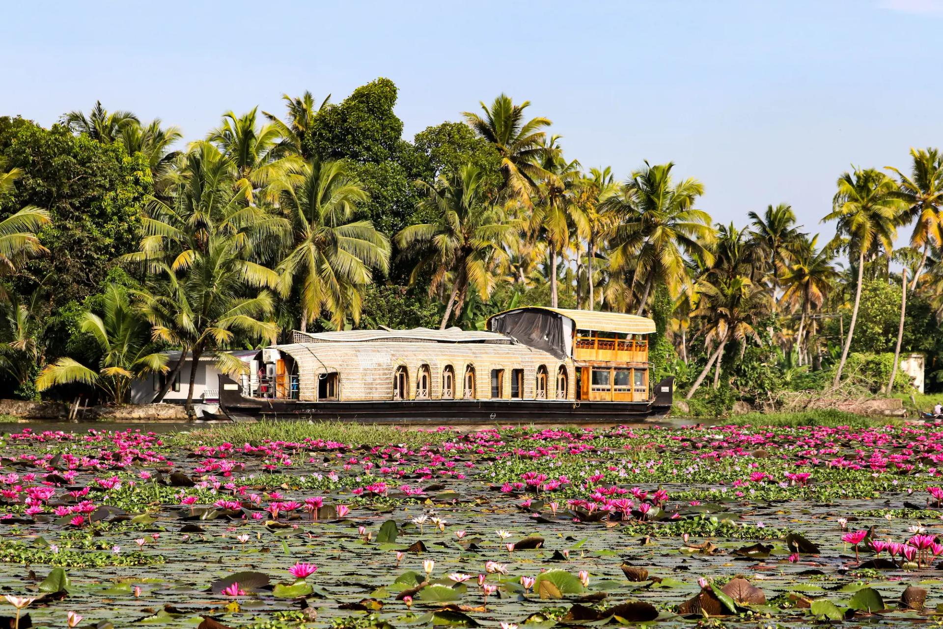 Goa & Kerala Double Coast: Beaches, Backwaters & a Houseboat - Traveler's favorite