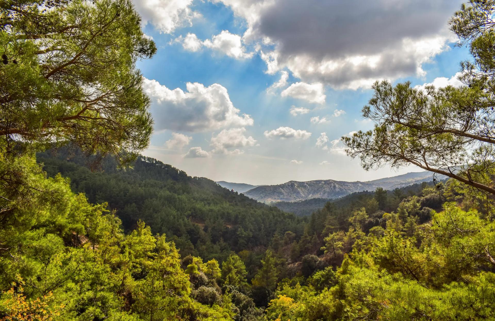 Chamba Tour Packages promotional banner