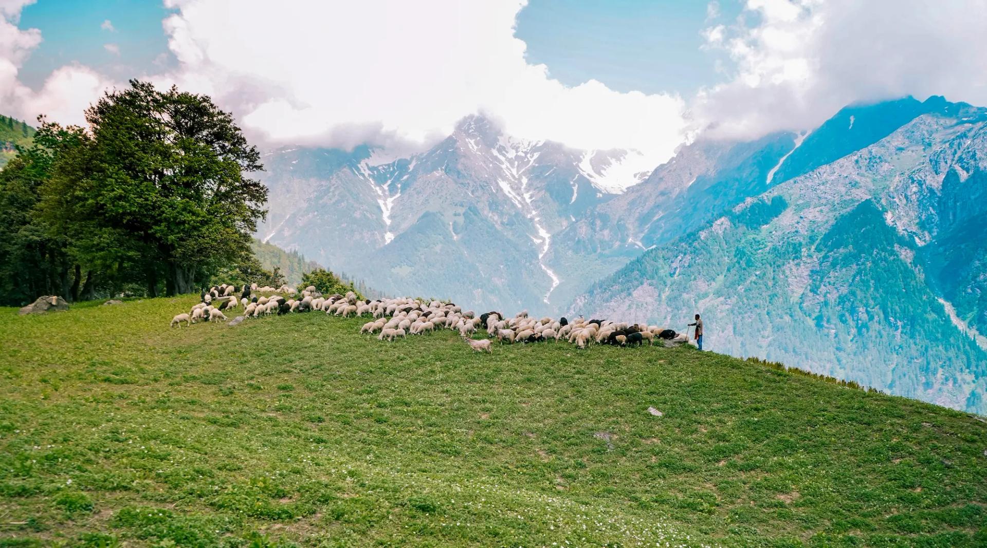 Jammu Tour Packages promotional banner