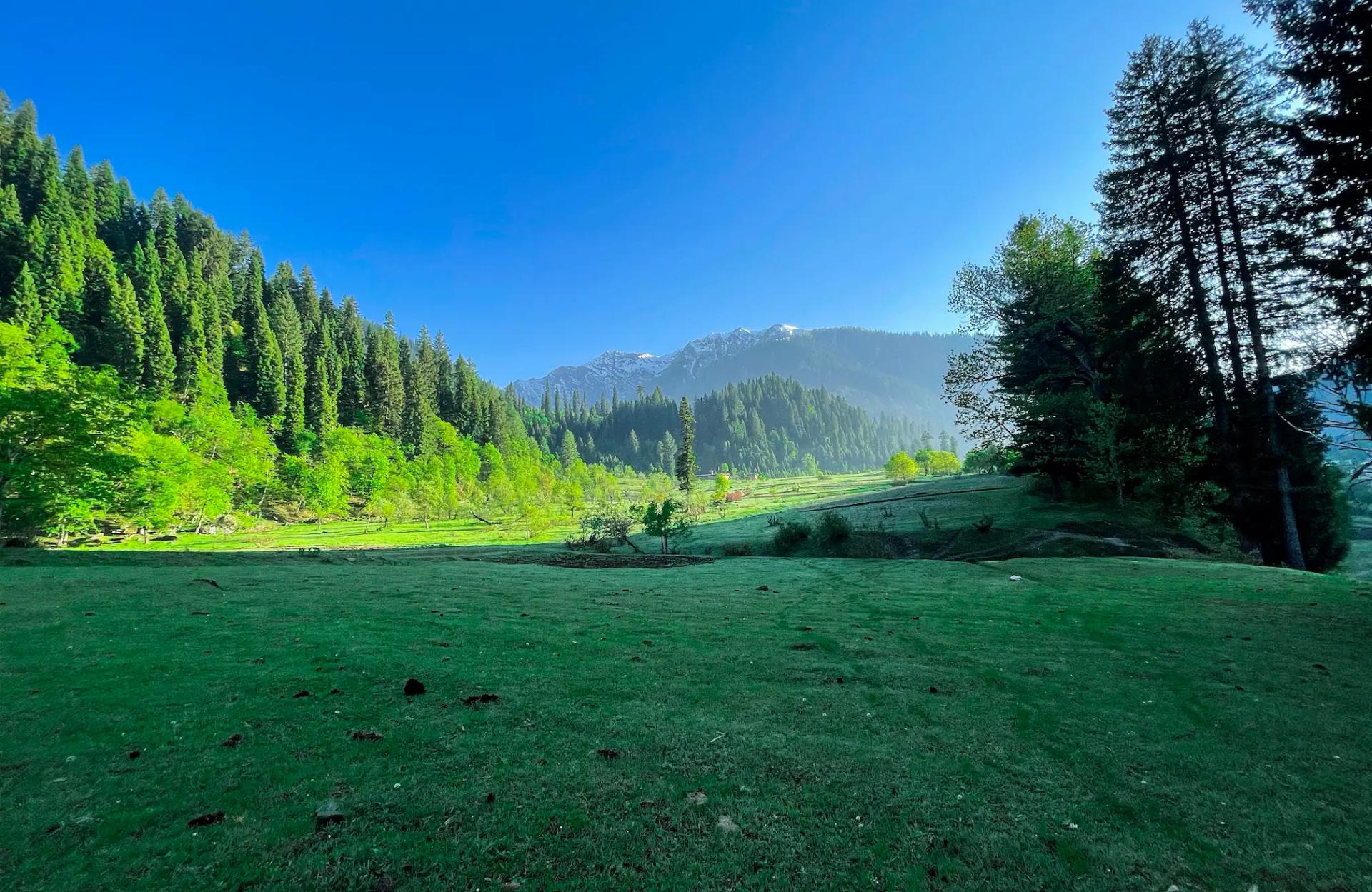 Pahalgam Tour Packages promotional banner