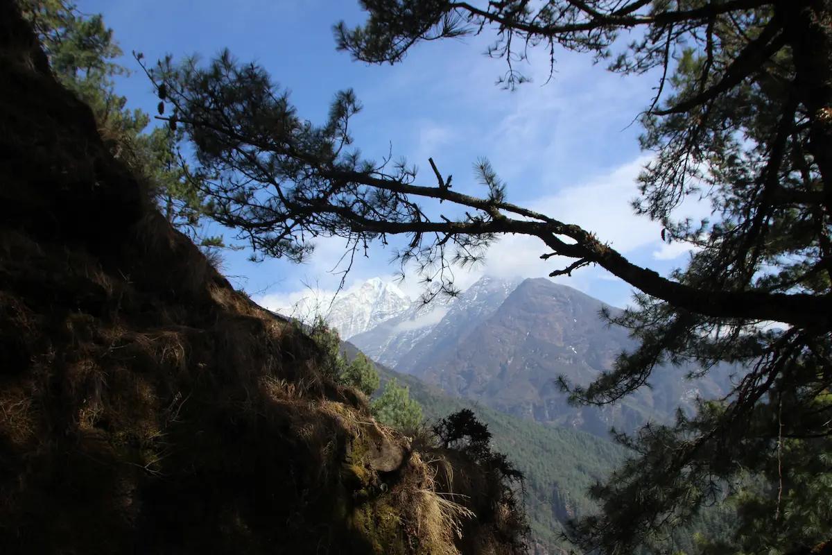 Wildlife and Nature Tour promotional banner