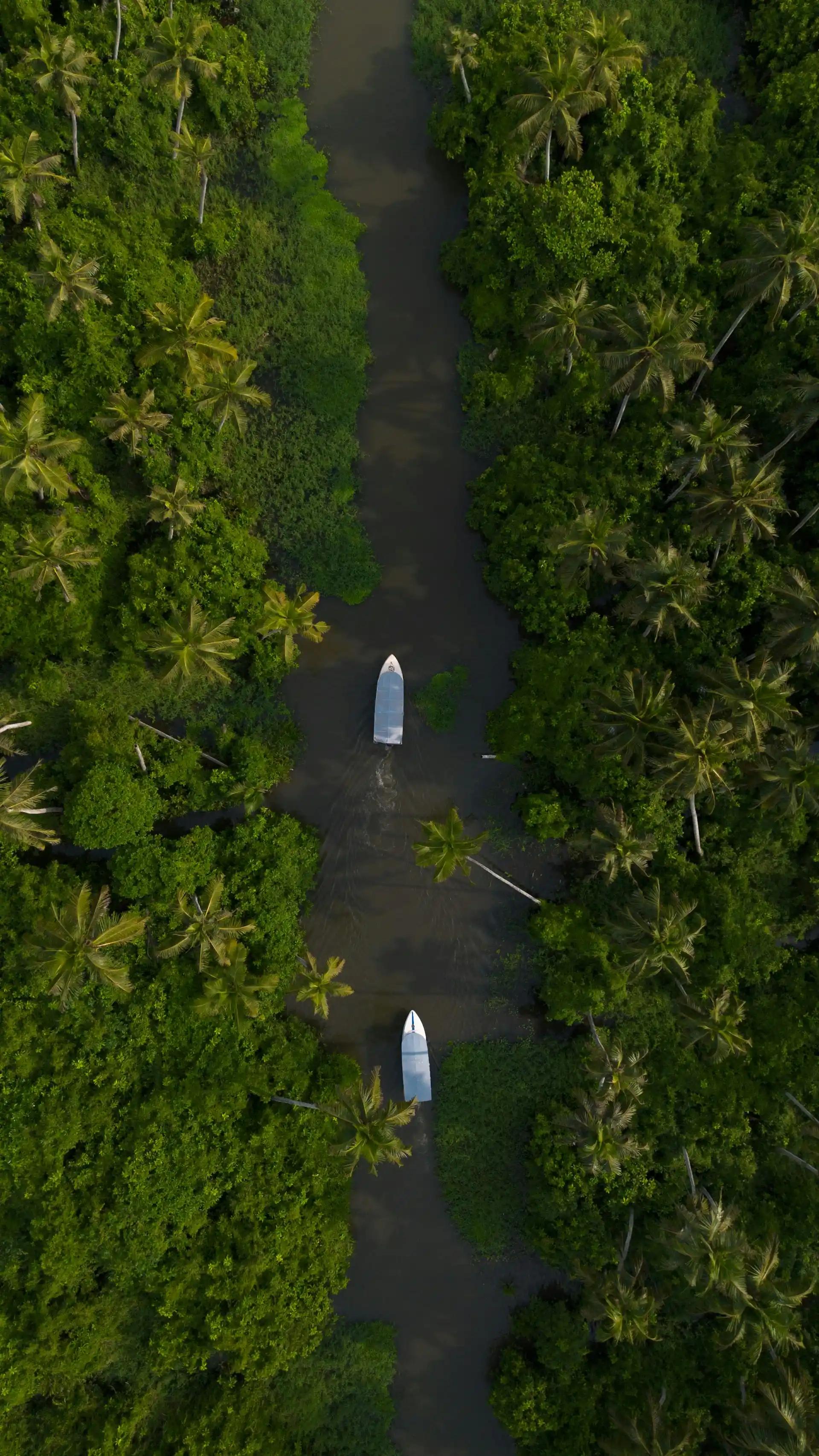 Kerala Tour Packages promotional banner