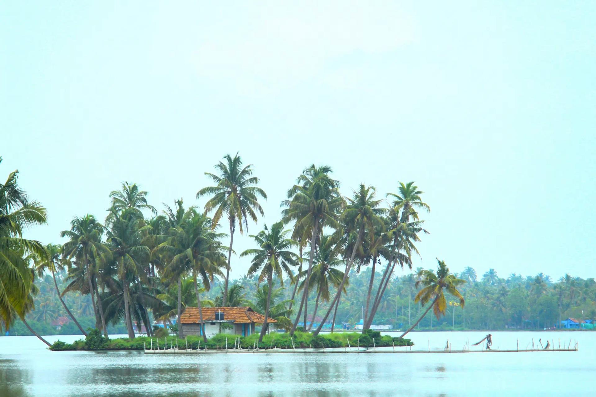 Kerala Backwaters Guide — Alleppey, Houseboats & Village Life
