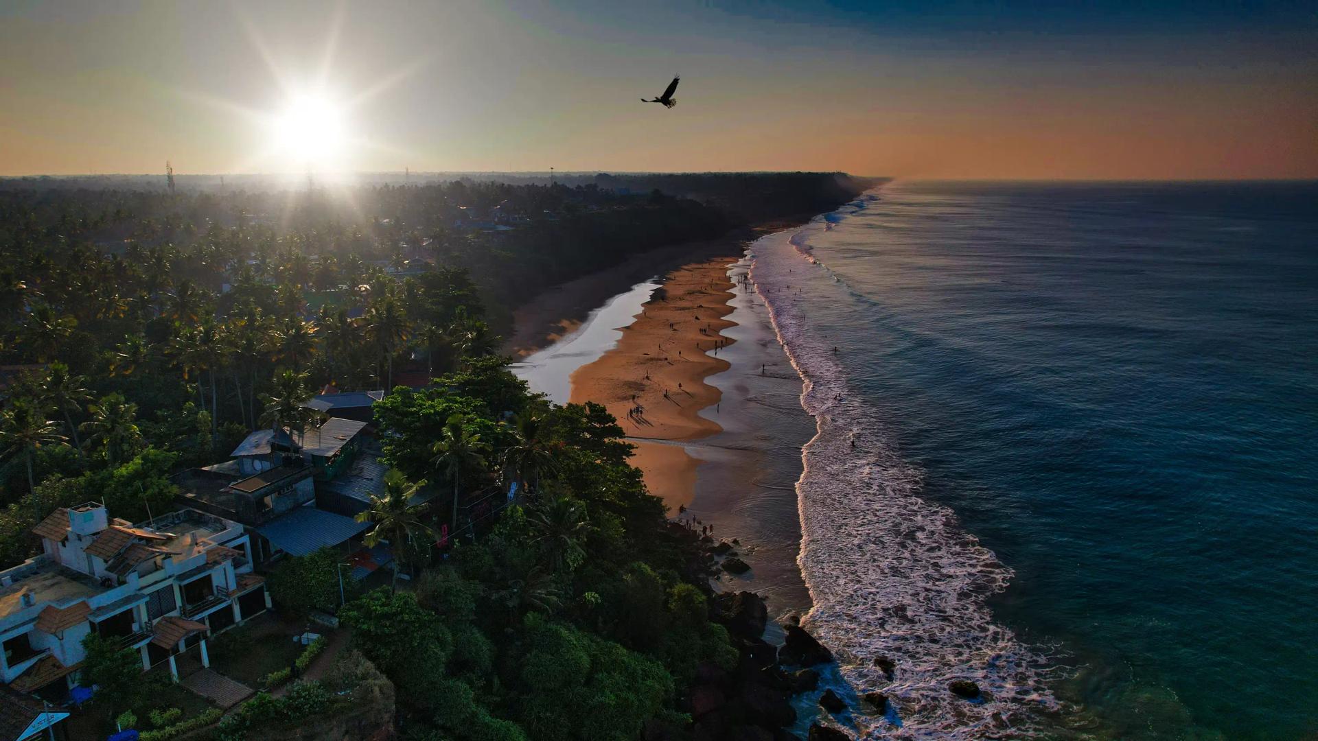 Kerala Honeymoon Guide — Backwaters, Beaches and Ayurveda