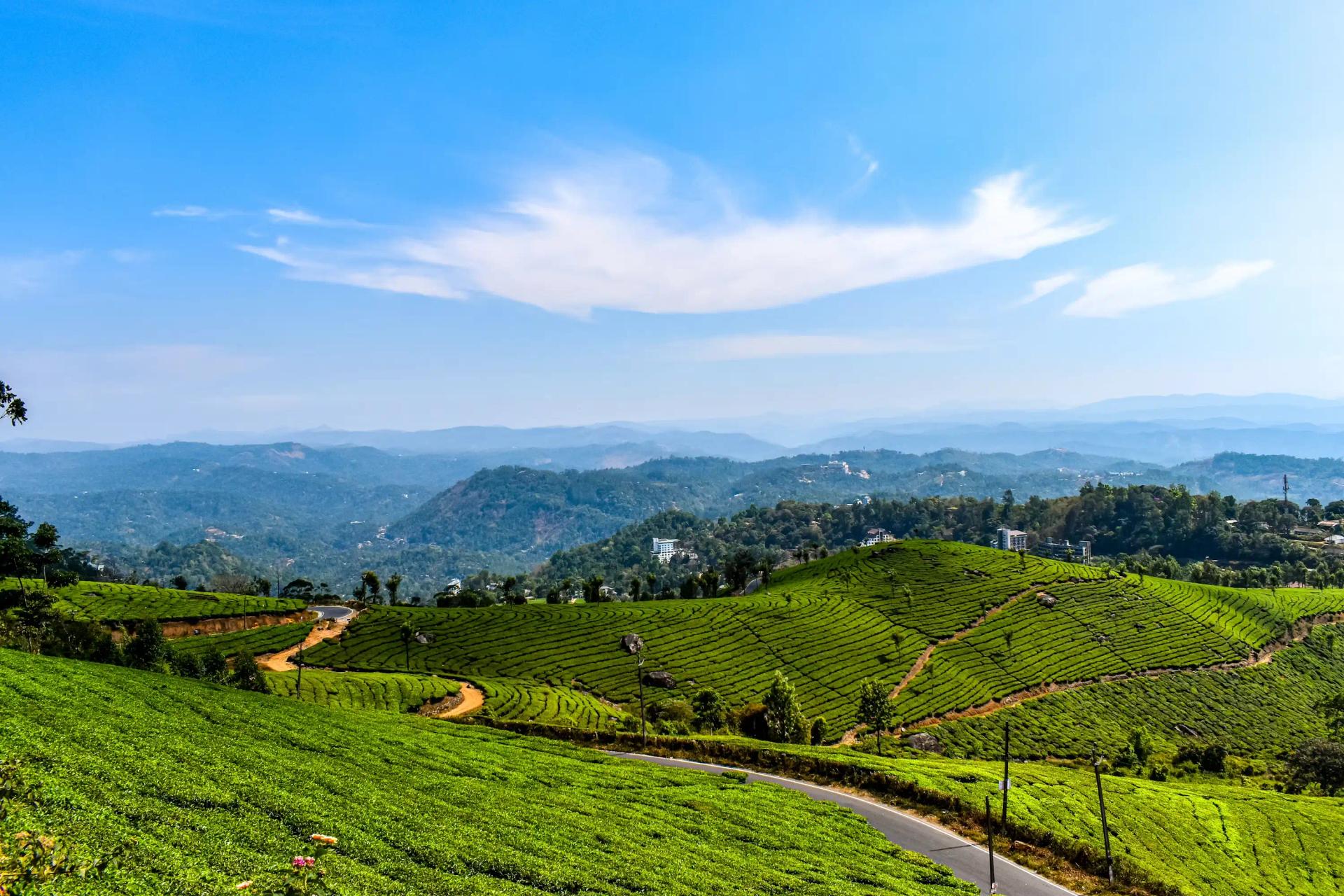 Kerala Grand Wildlife Circuit Tour Package - Traveler's favorite