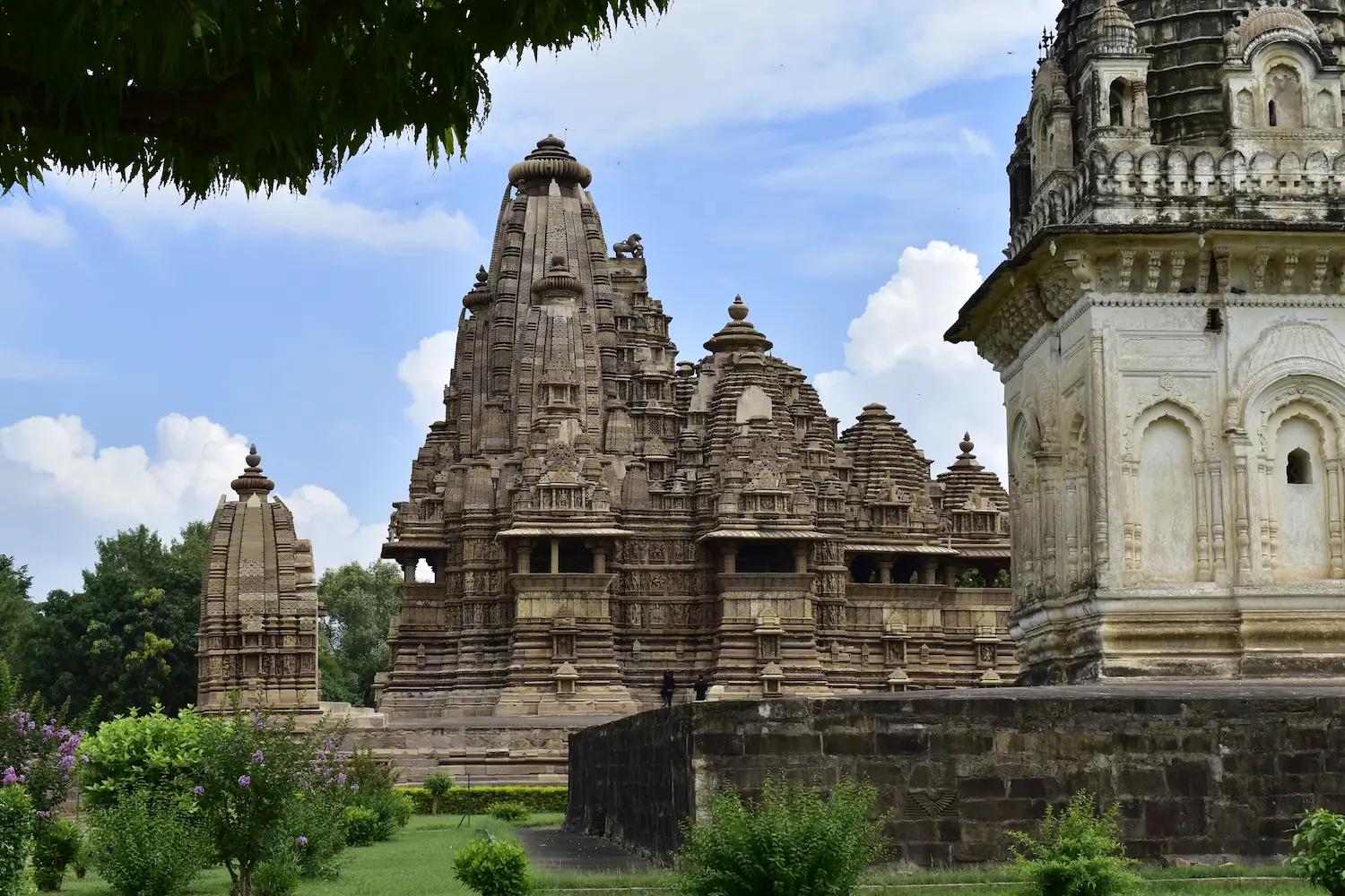 Central India Photography Expedition Tour Package - Traveler's favorite