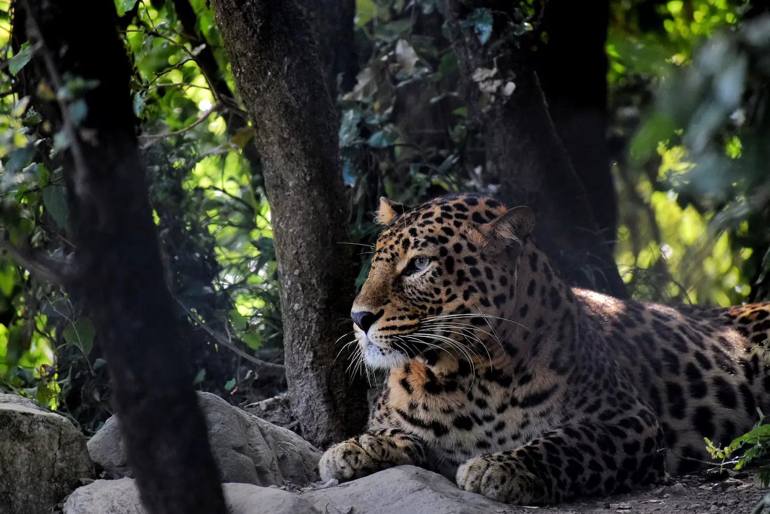 Complete Uttarakhand Tour Package - Traveler's favorite