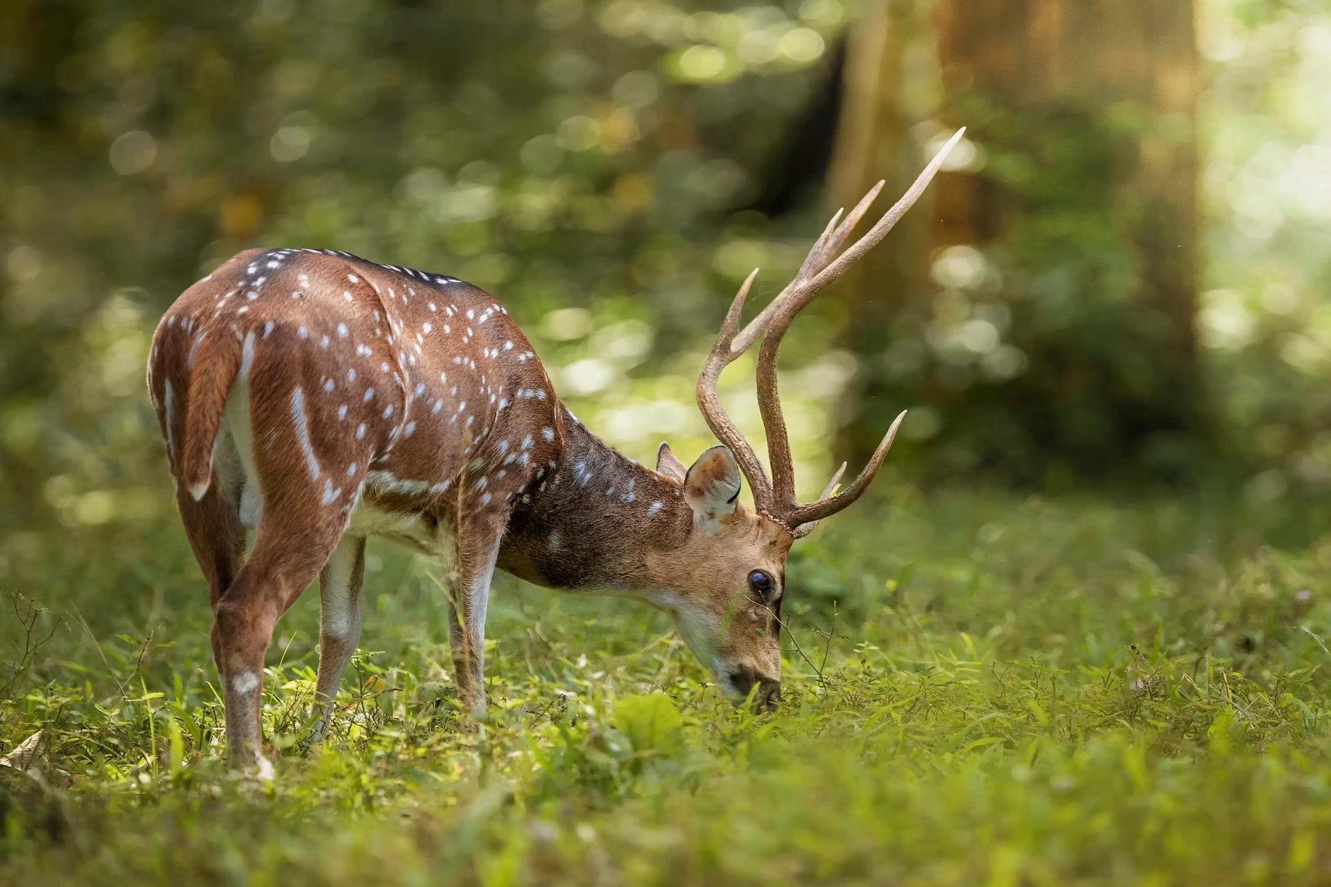 Kerala Photography Expedition: Tea, Backwaters & Wildlife - Traveler's favorite
