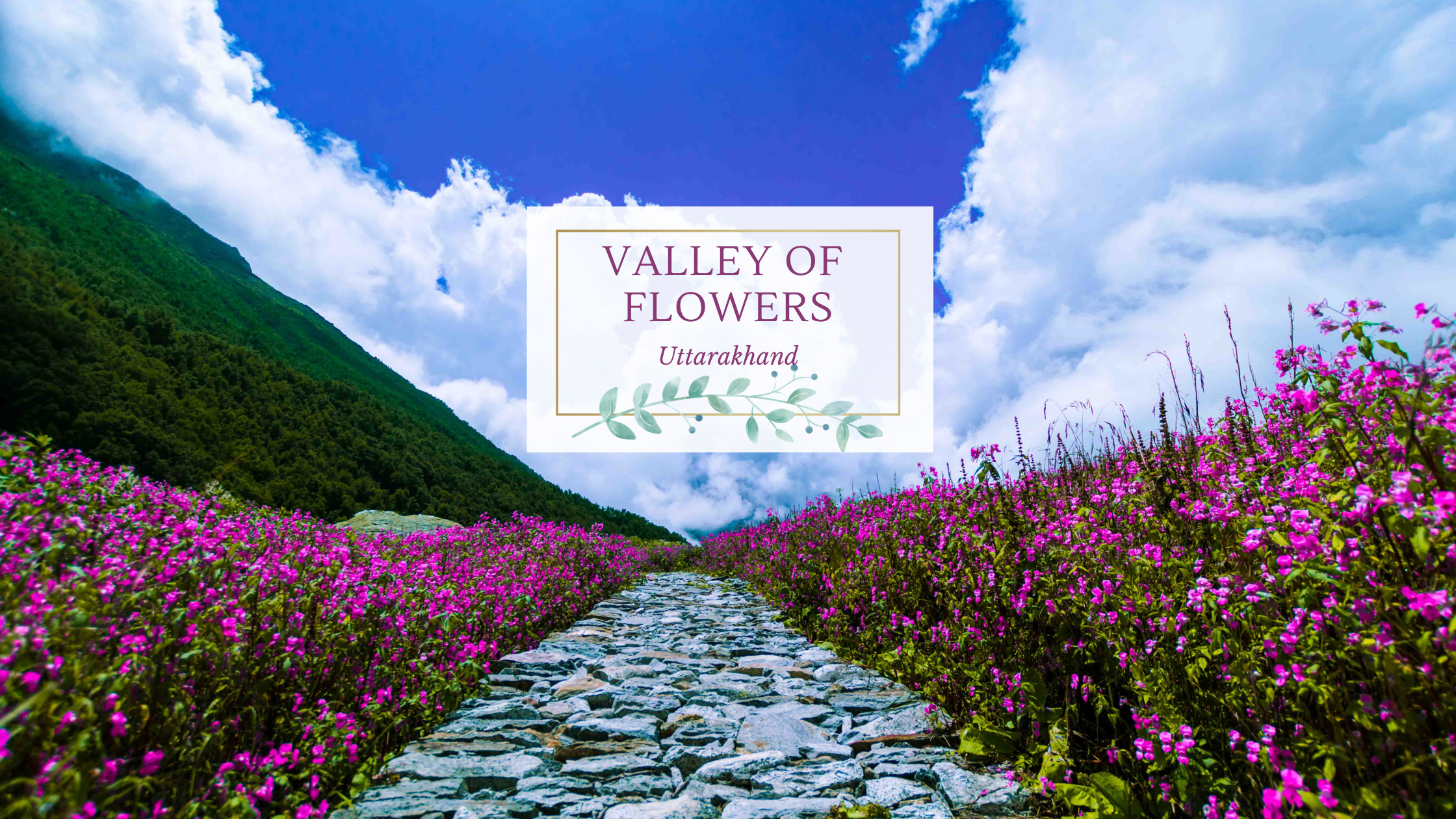 valley of flowers uttarakhand best time to visit