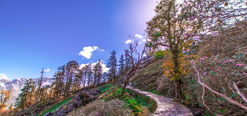 North India's 7 Best Hill Stations for Summer 2026
