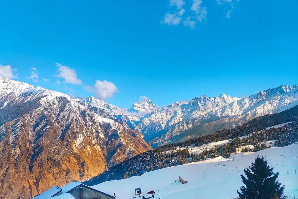 Auli