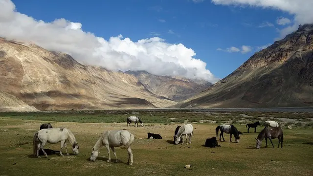 Spiti