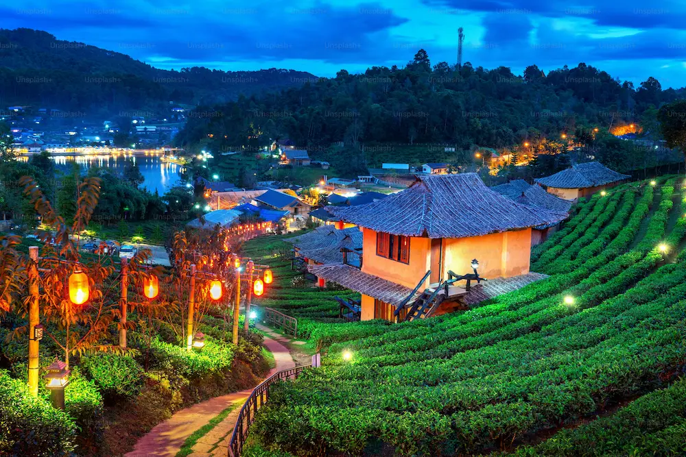 Nagaland