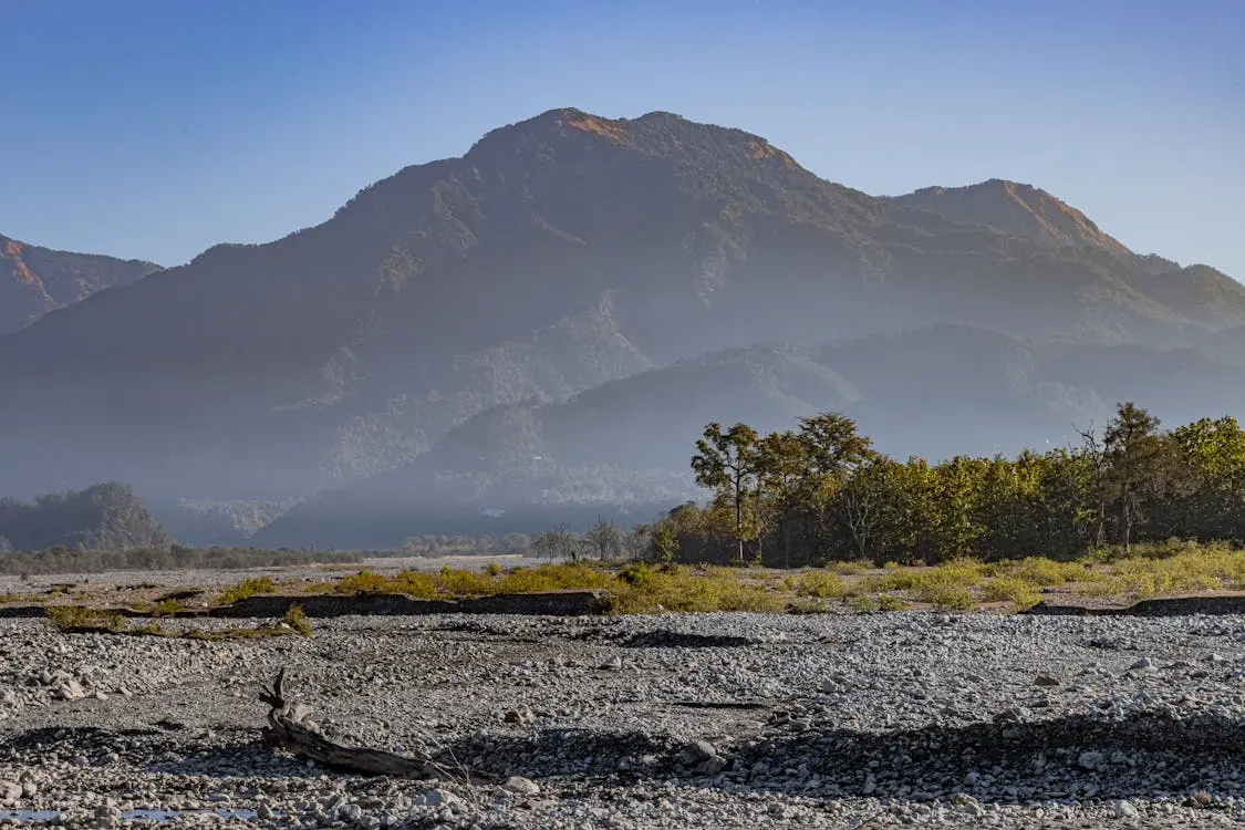 Jim Corbett National Park View
