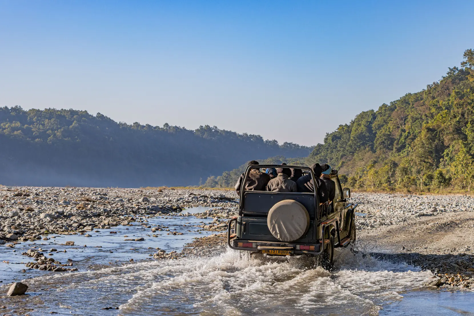 Jim Corbett National Park Safari