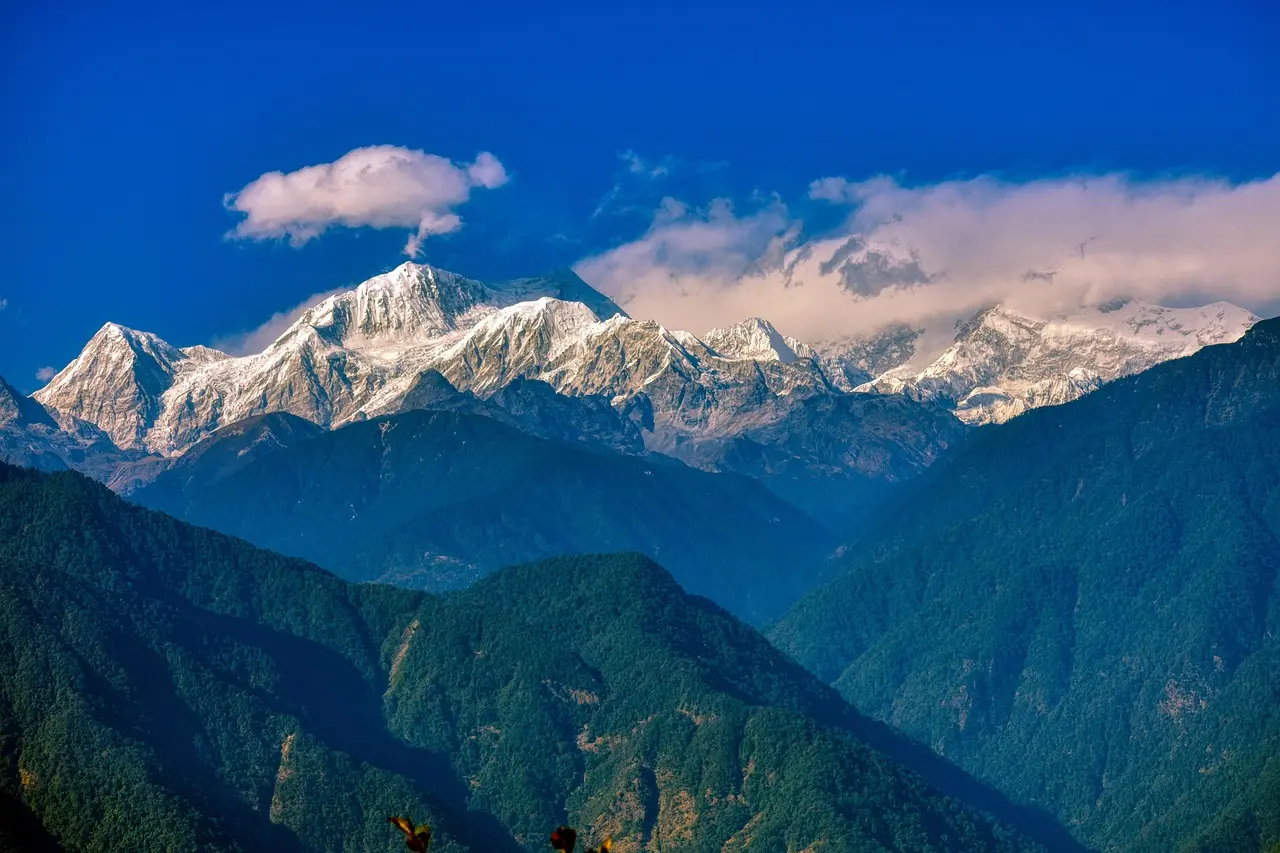 Sikkim Nature