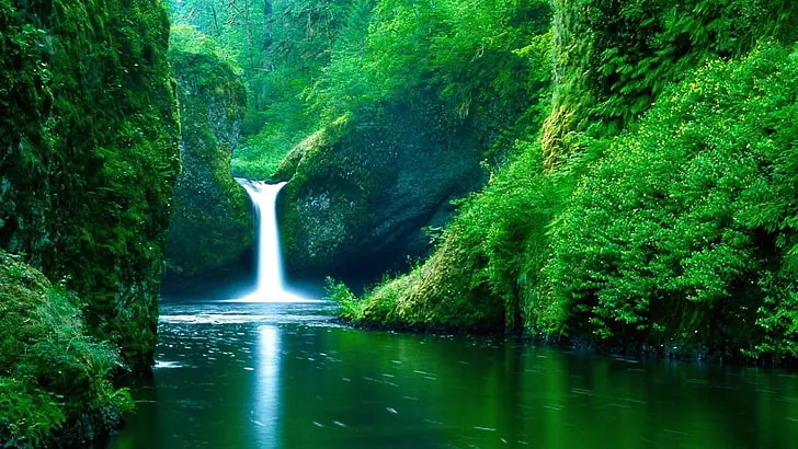 Mawlynnong Waterfall