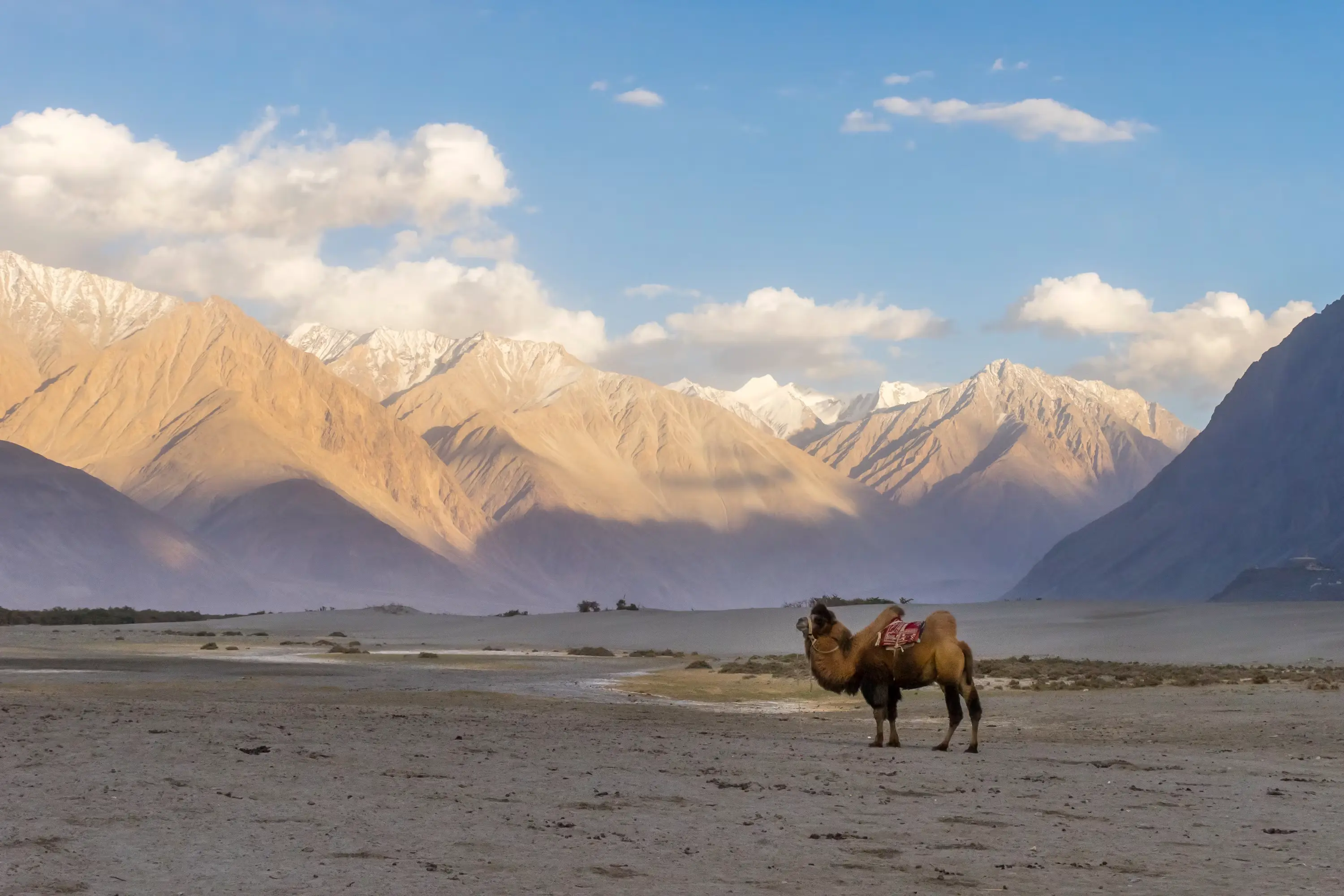 Nubra Valley View
