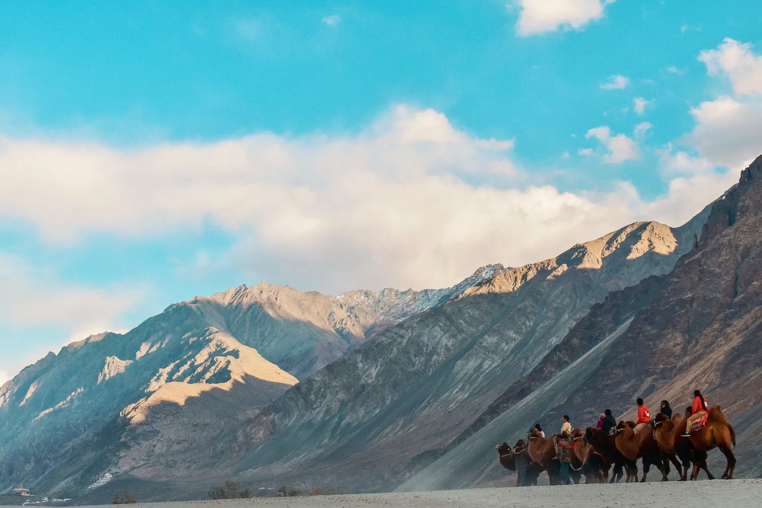 Nubra Valley Ladakh
