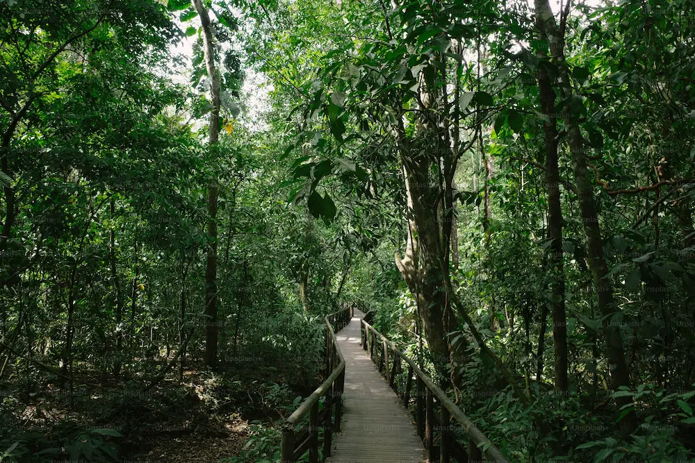 Kaziranga National Park