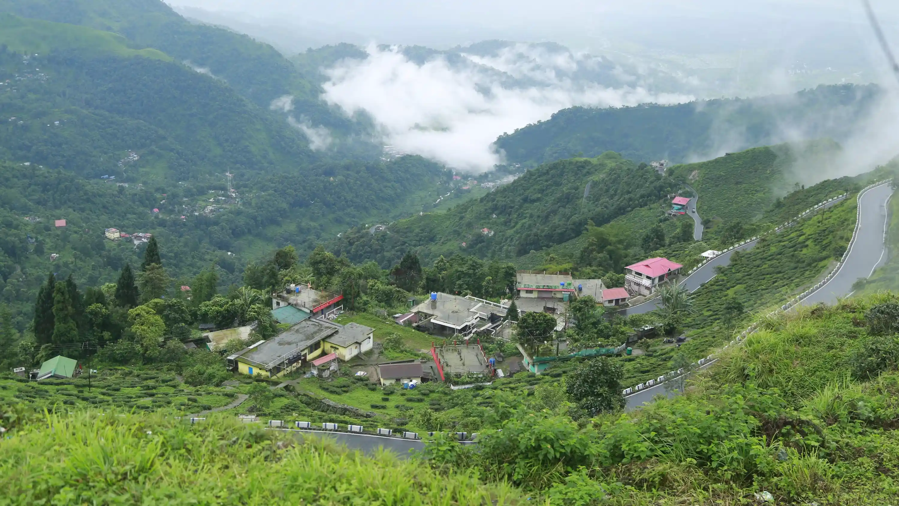 Darjeeling Way