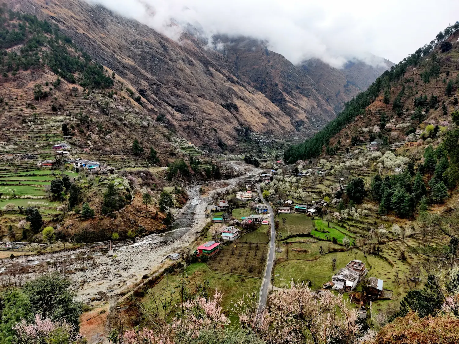 Tirthan Valley Area