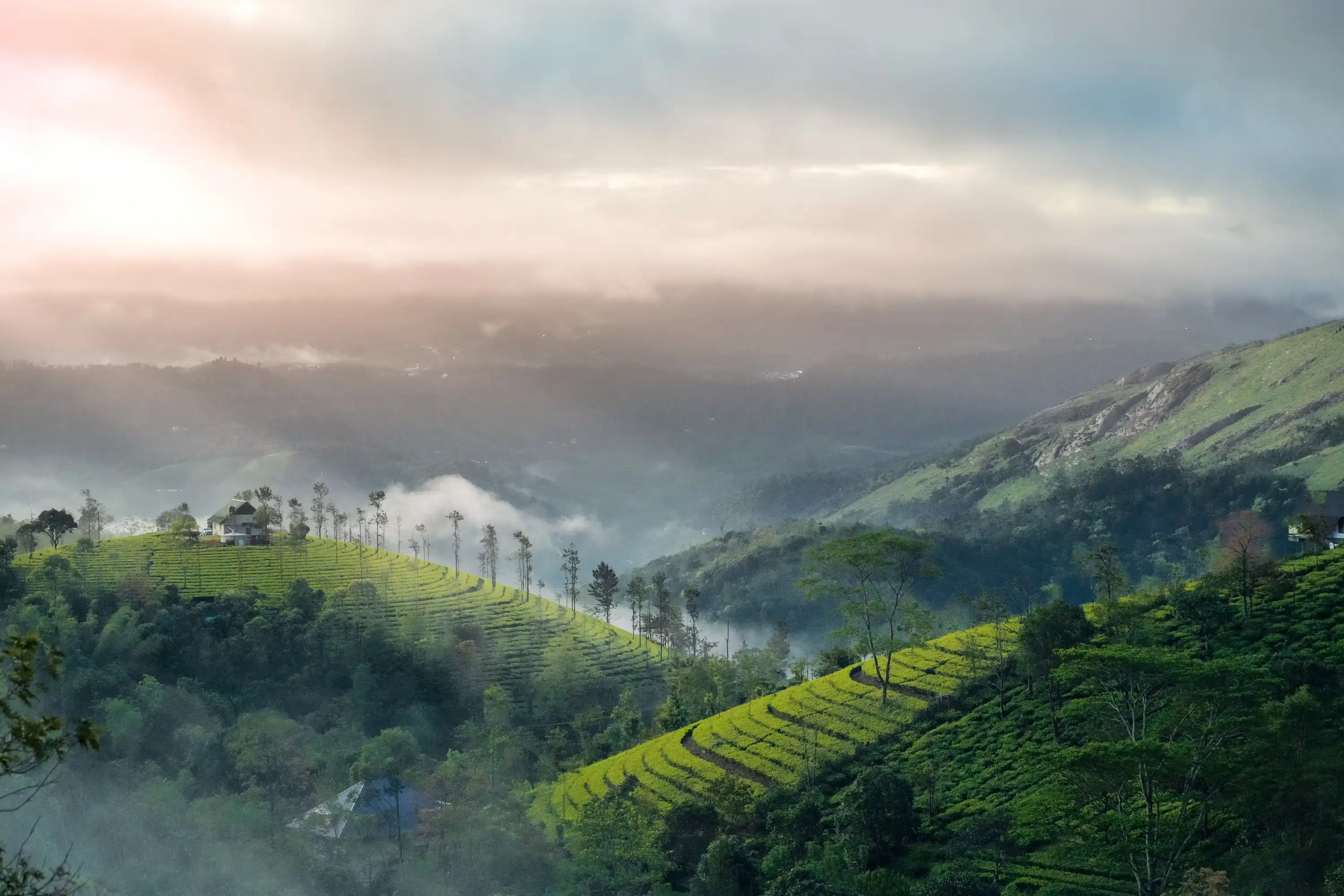 Munnar City