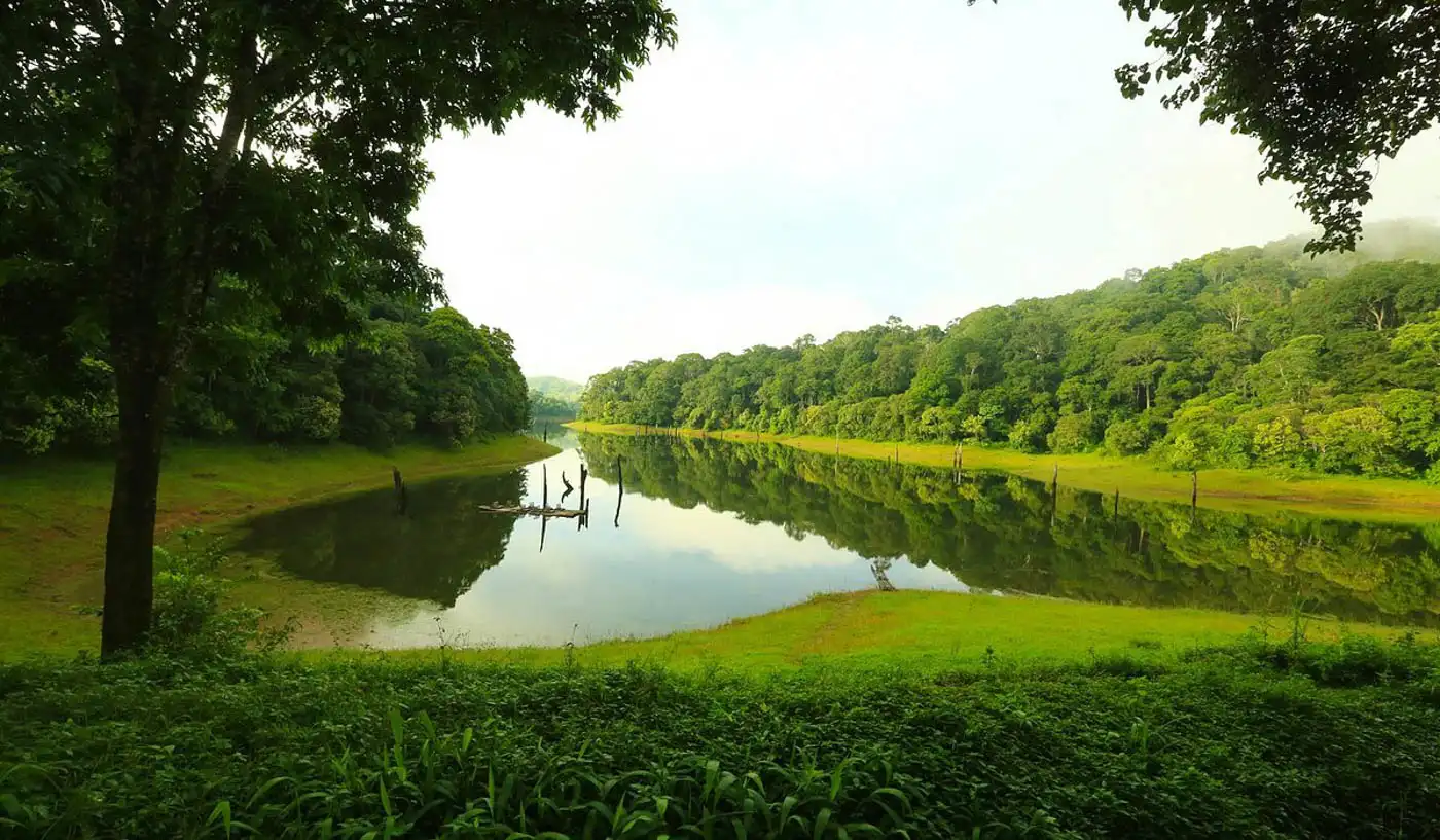 Thekkady Kerala