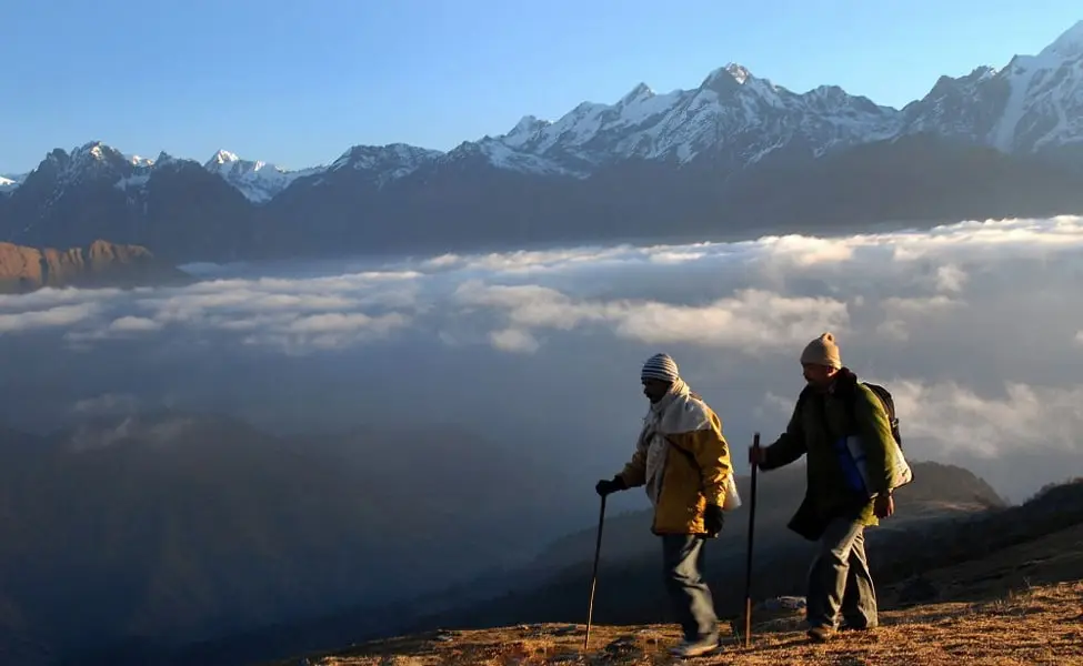 Chaukori Himalayan