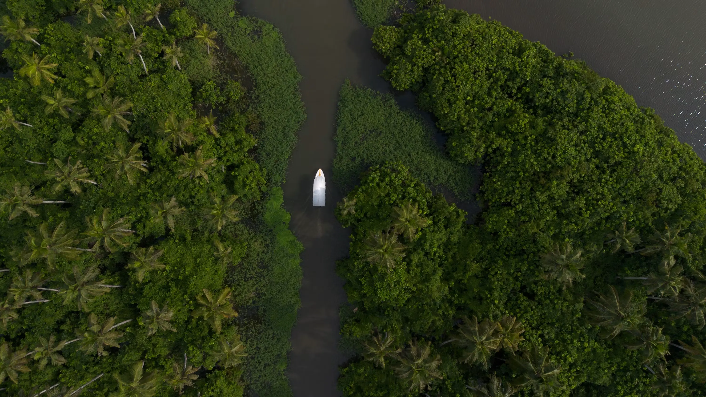 Kerala Backwaters