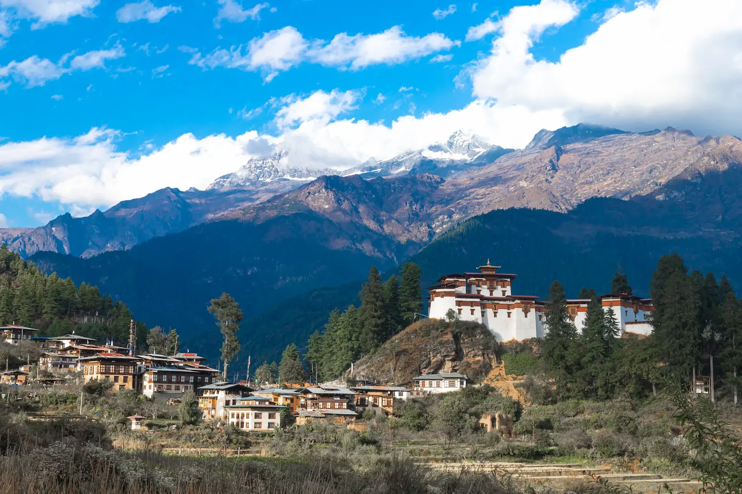 Paro