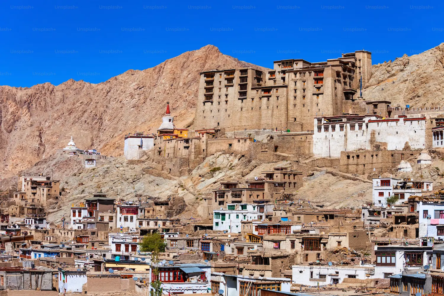 Ladakh Local Culture
