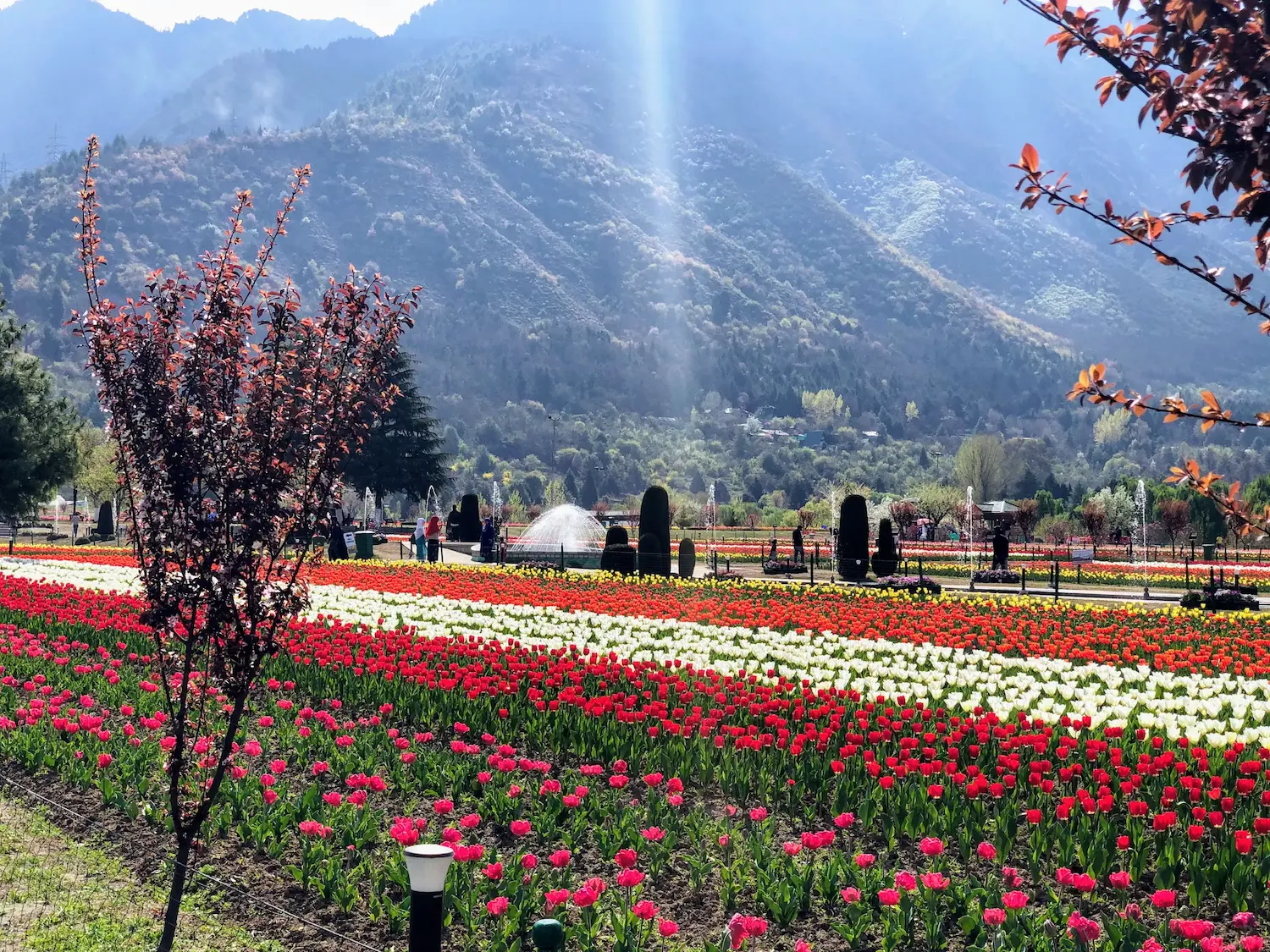 Beauty Of Kashmir