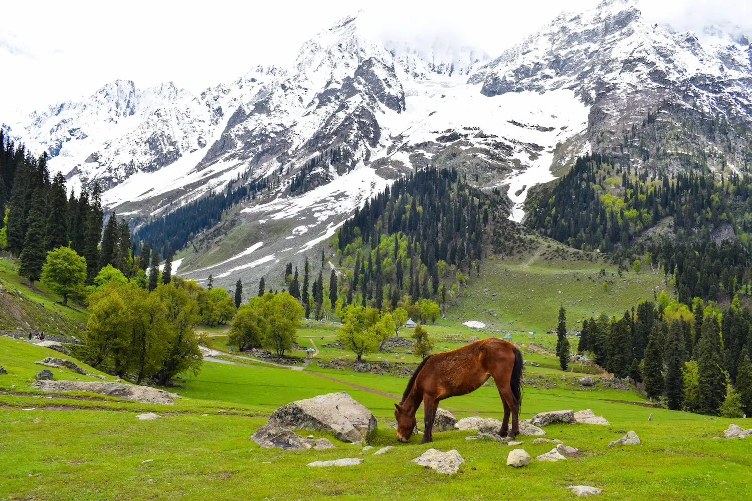 Kashmir Mountain View