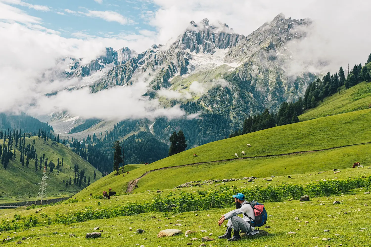 Kashmir Nature