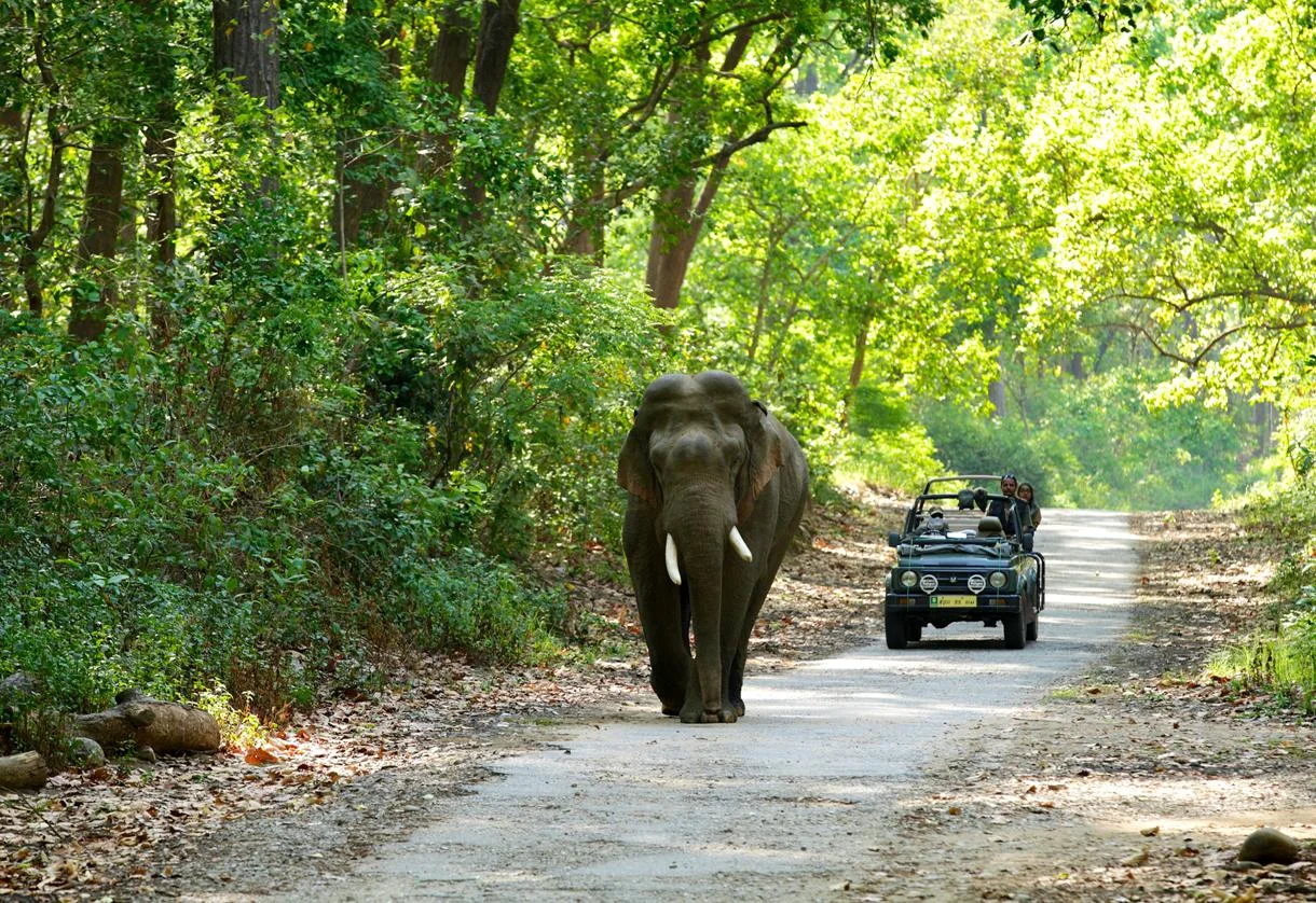 Kanha National Park