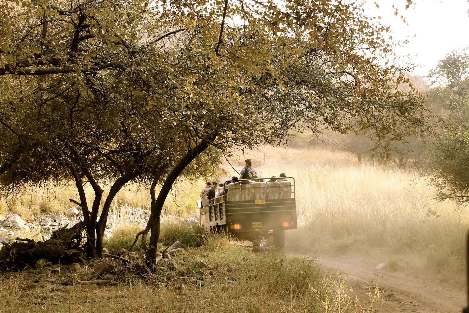 Ranthambore National Park Safari