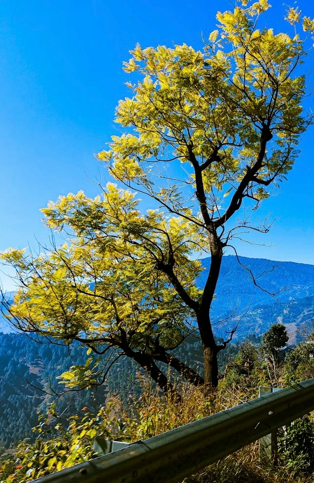 Kathgodam taxi service promotional image