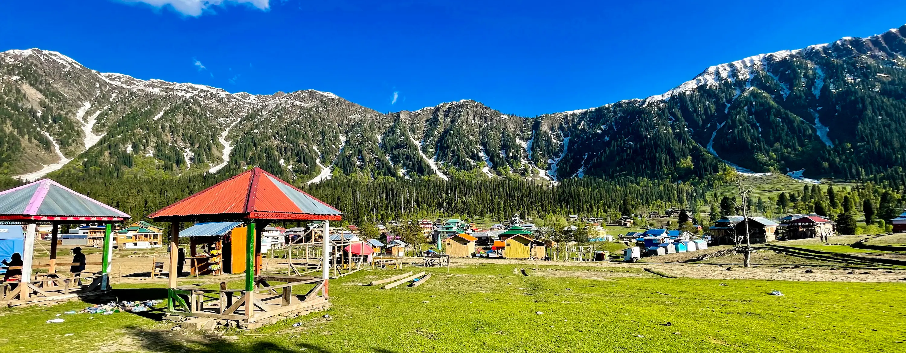 Shimla Tour Packages promotional banner