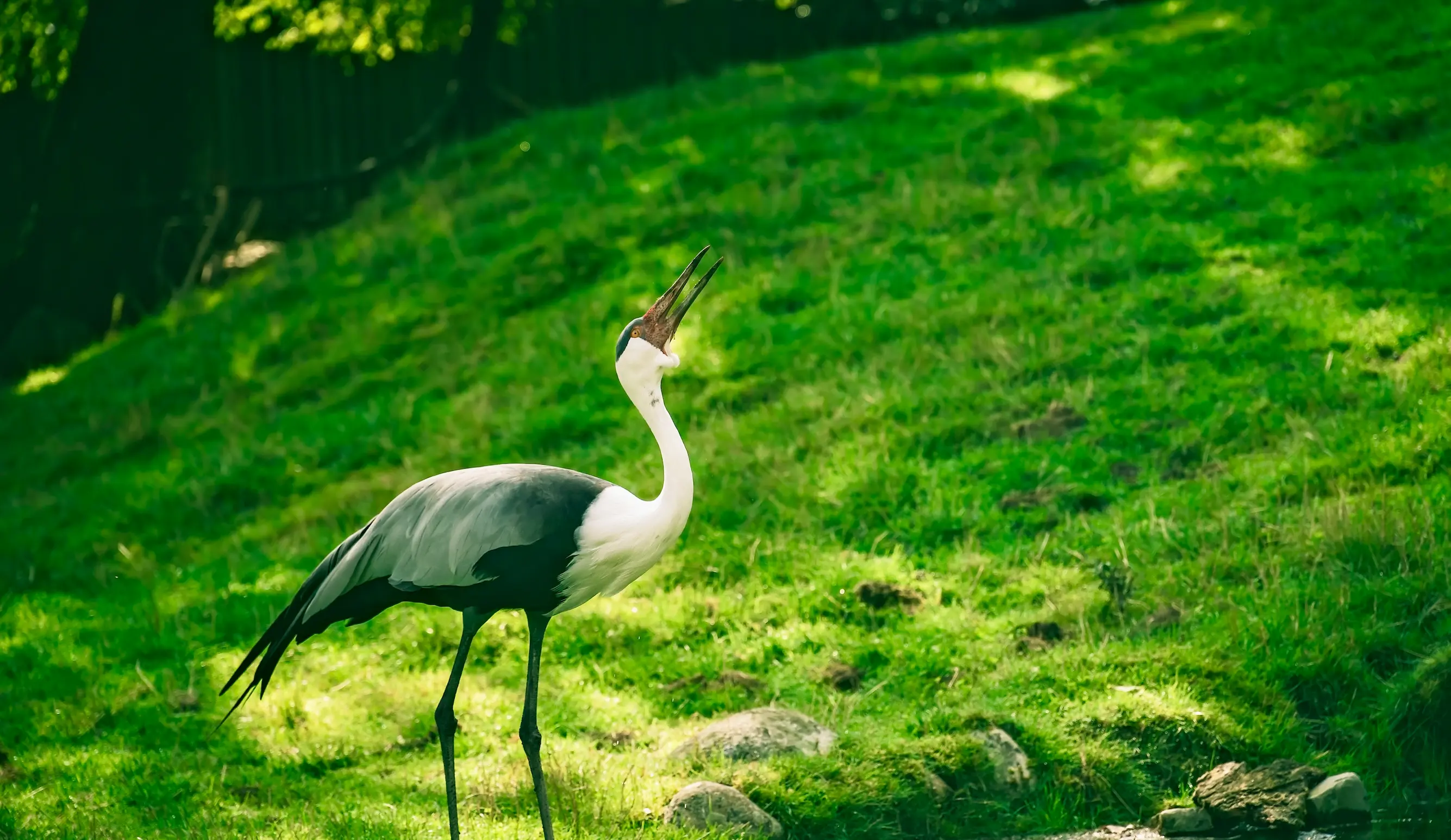 Jamnagar Tour Packages promotional banner