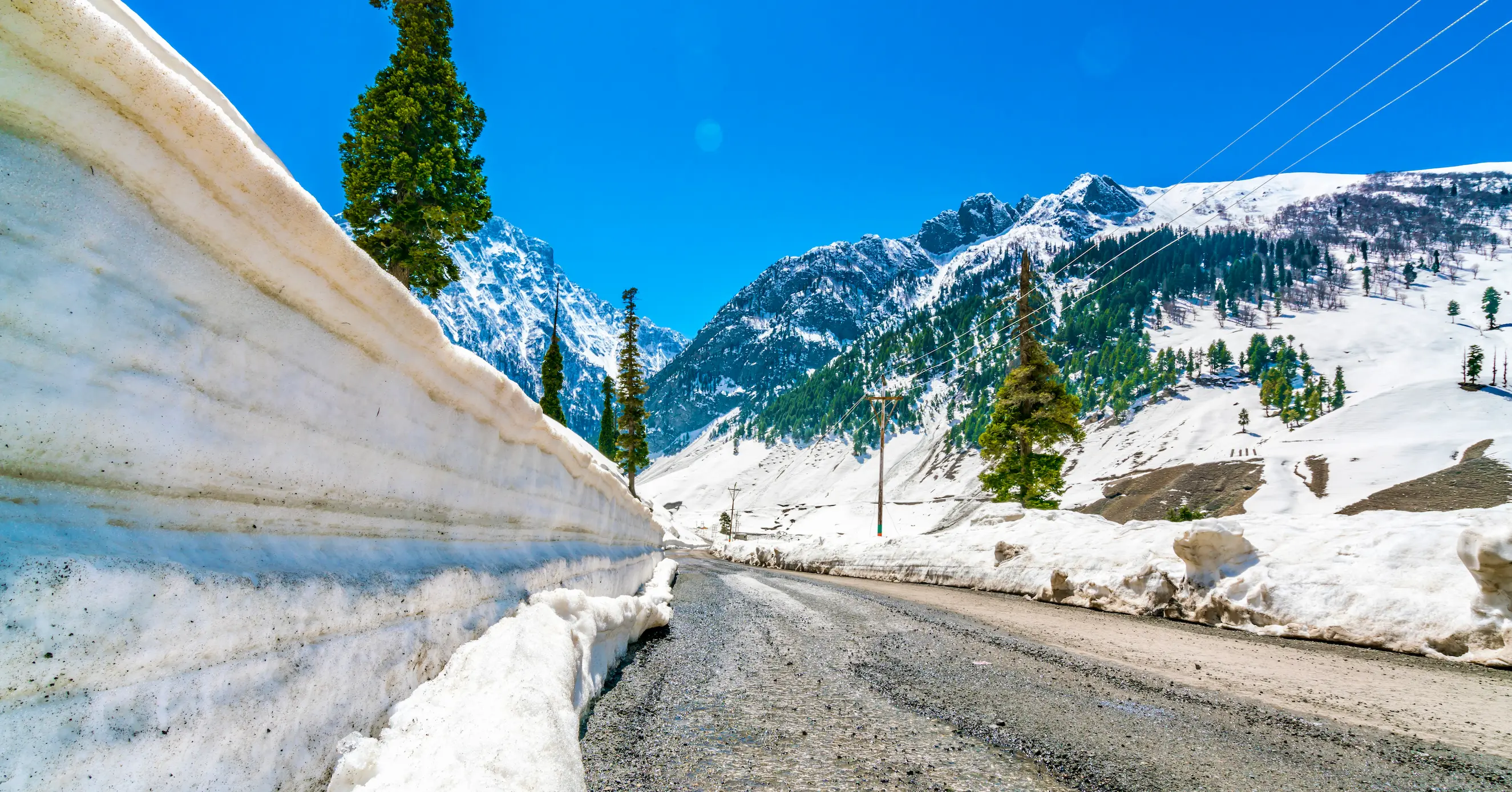 Katra Tour Packages promotional banner